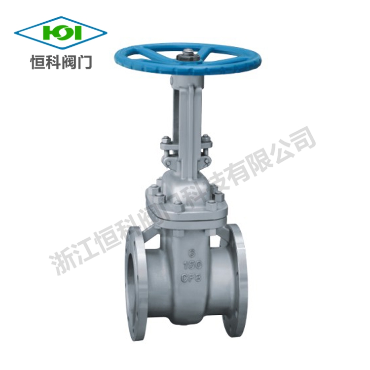 Double flange double disc check valve